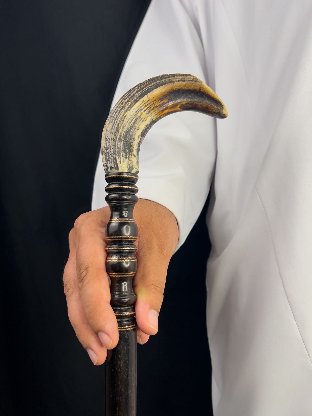 ناب فرس النهر