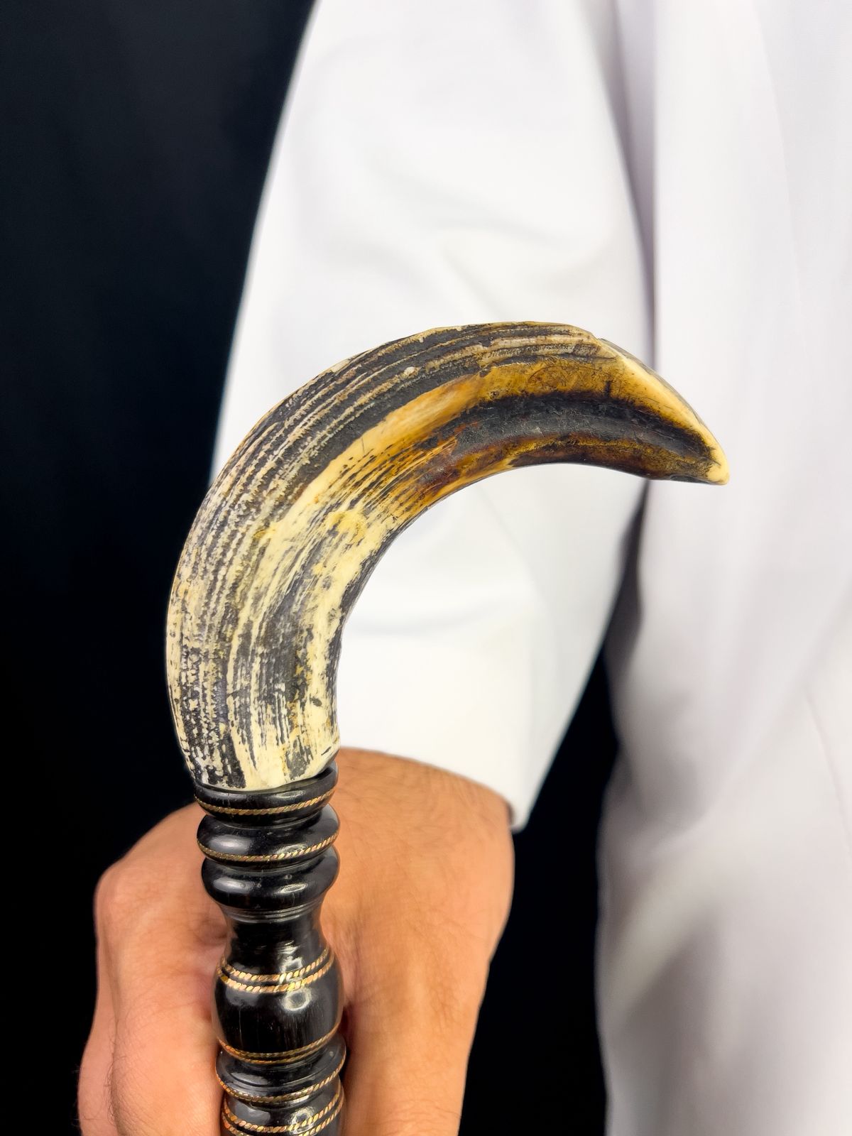 ناب فرس النهر