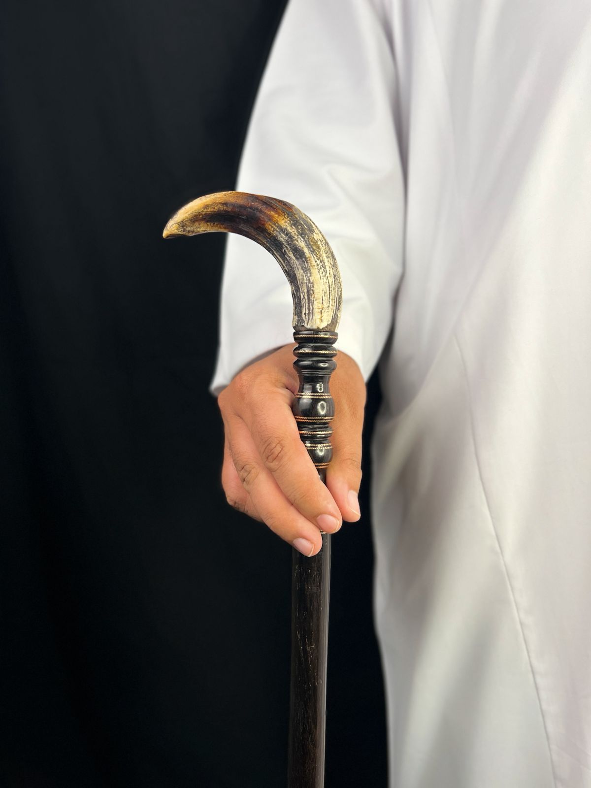 ناب فرس النهر