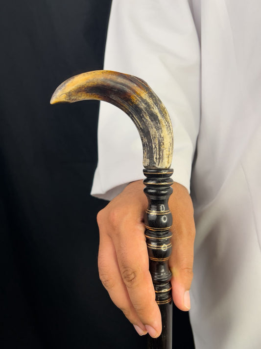 ناب فرس النهر